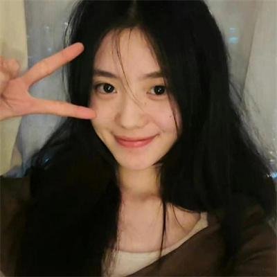 当哈维遇见鲍勃