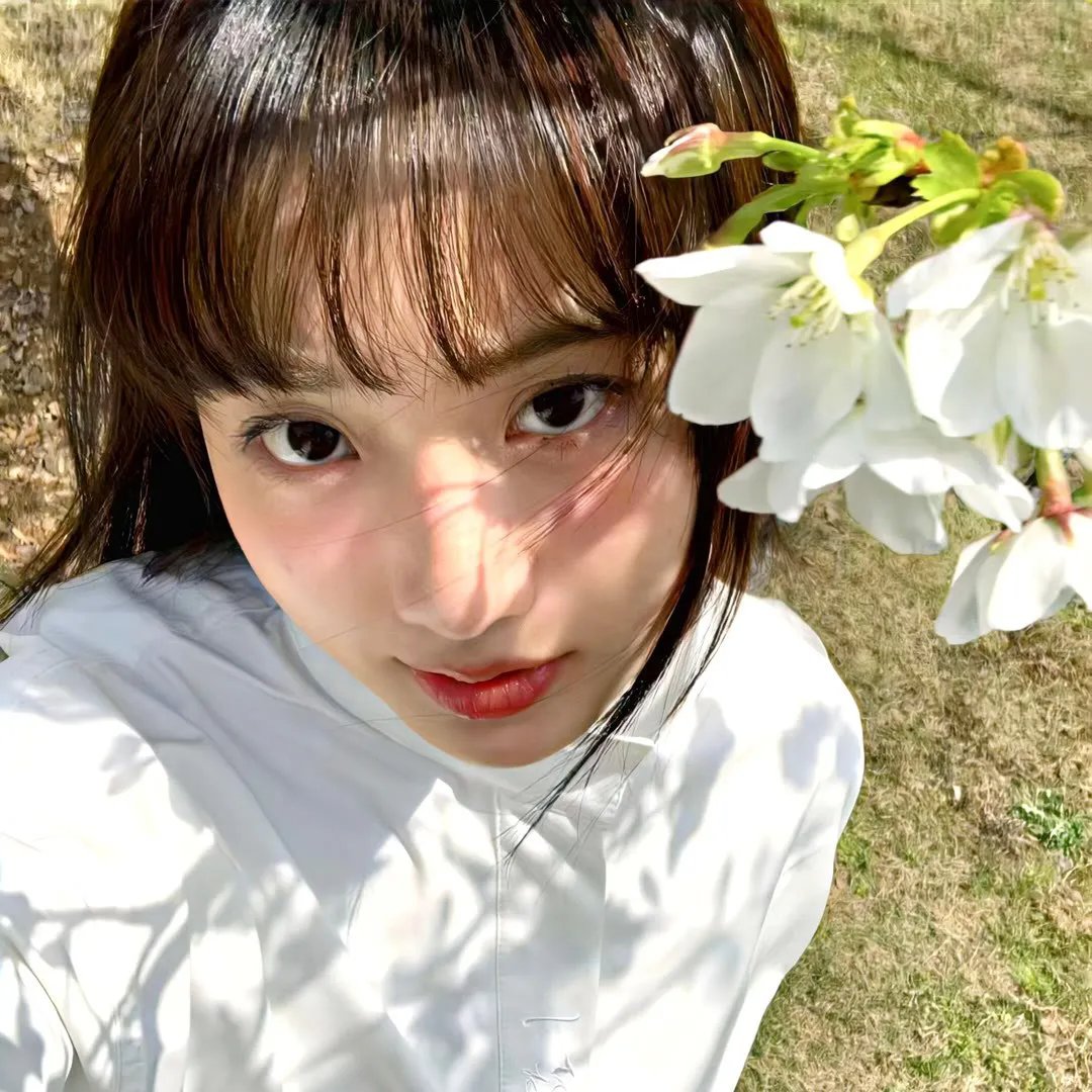 女人领地
